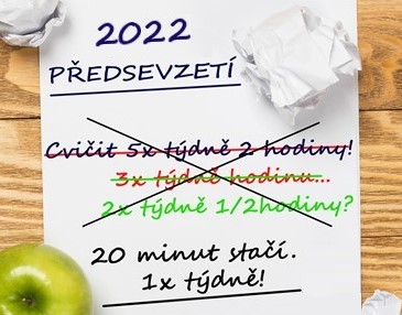 předsevzetí 2022